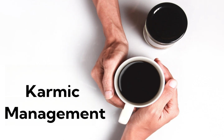 Book Review: Karmic Management - A Unique Life Guide